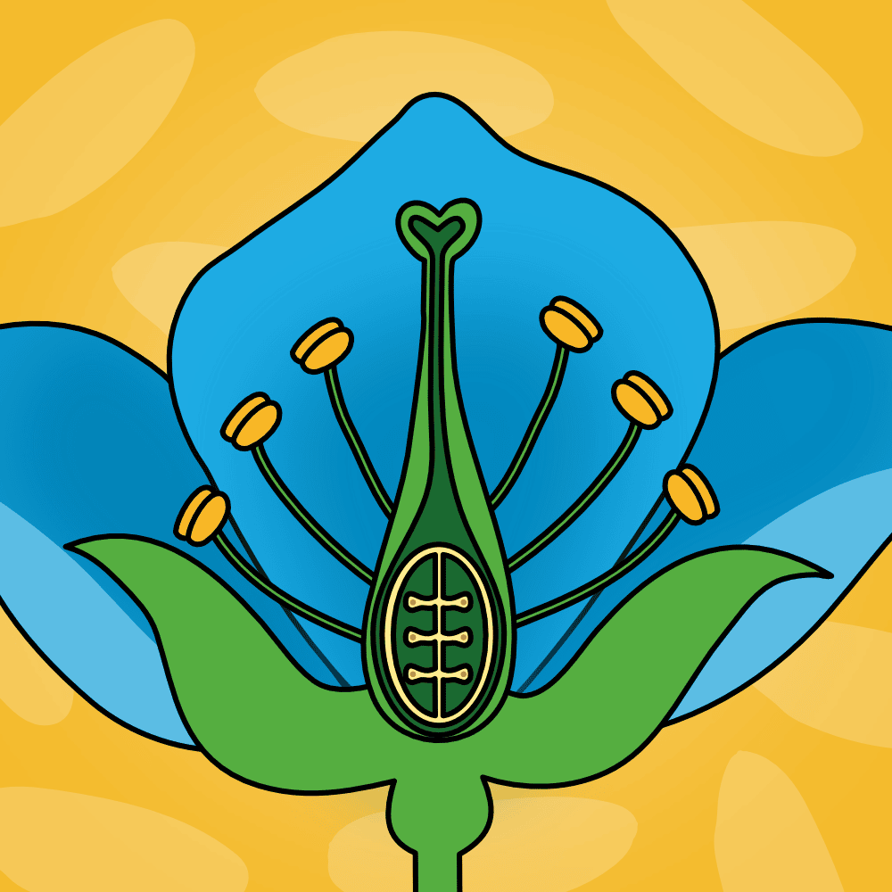 //tpet.co.uk/wp-content/uploads/2022/09/yr3-plants.png
