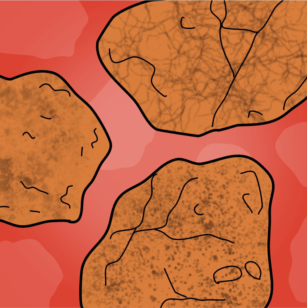 //tpet.co.uk/wp-content/uploads/2022/09/yr3-rocks.png