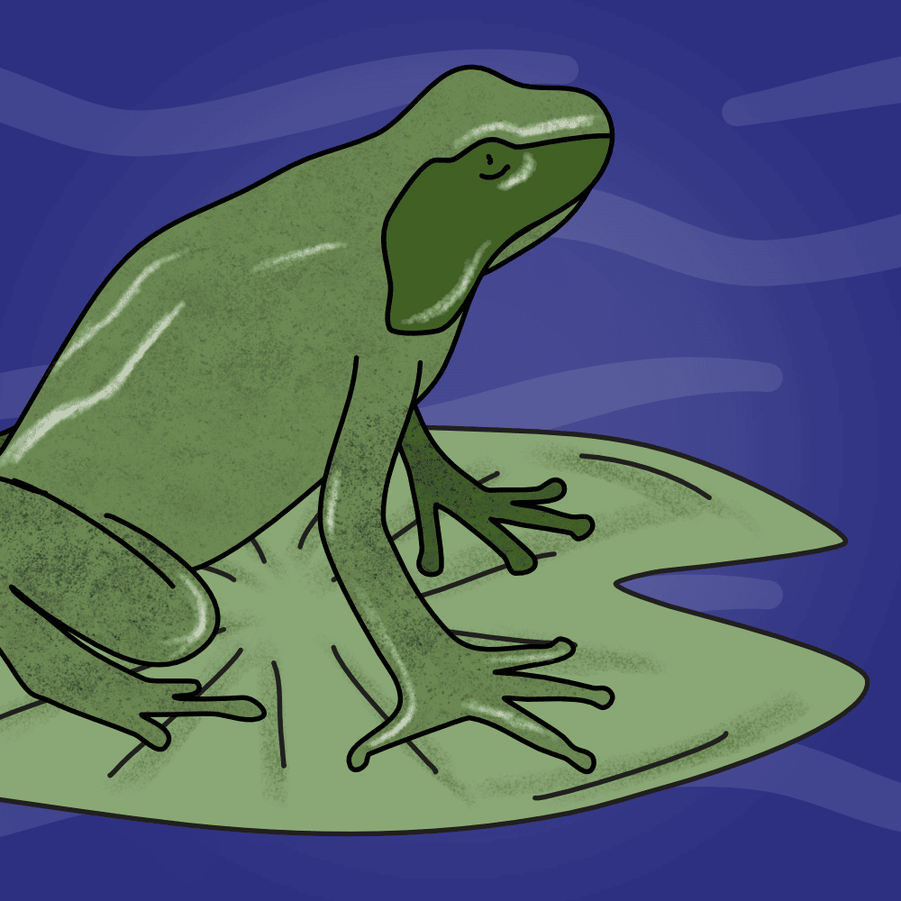 //tpet.co.uk/wp-content/uploads/2022/09/yr5-living-things-and-their-habitats.png
