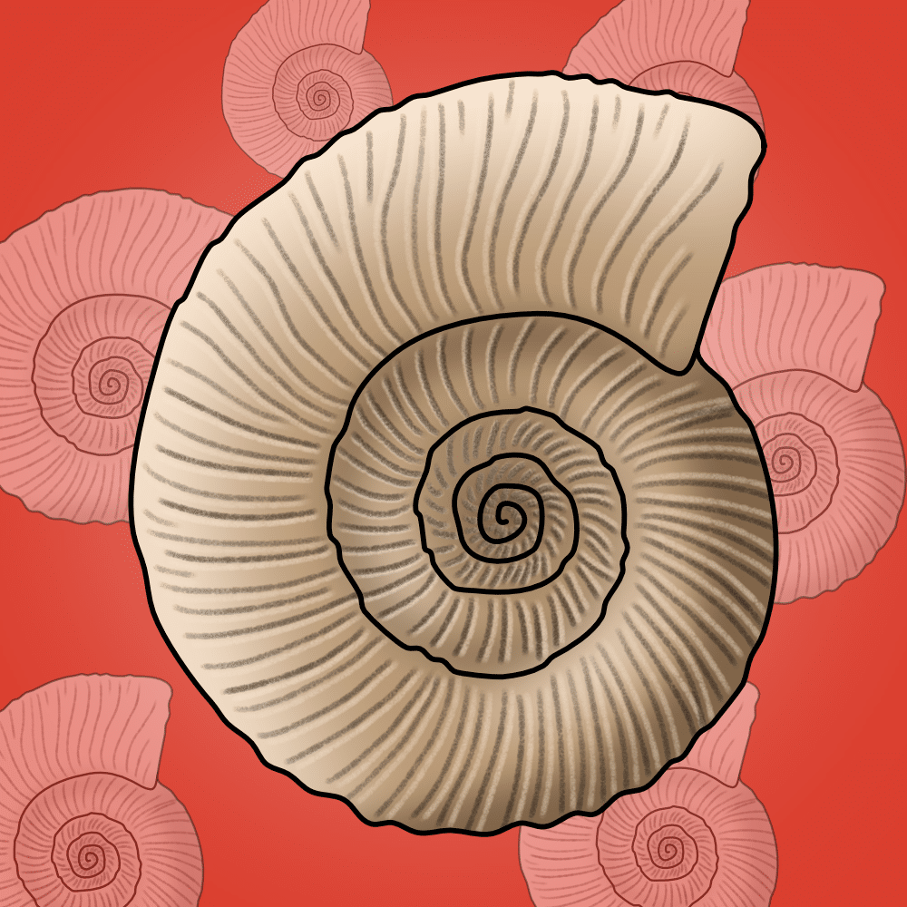 //tpet.co.uk/wp-content/uploads/2022/09/yr6-evolution-and-inheritance-1.png