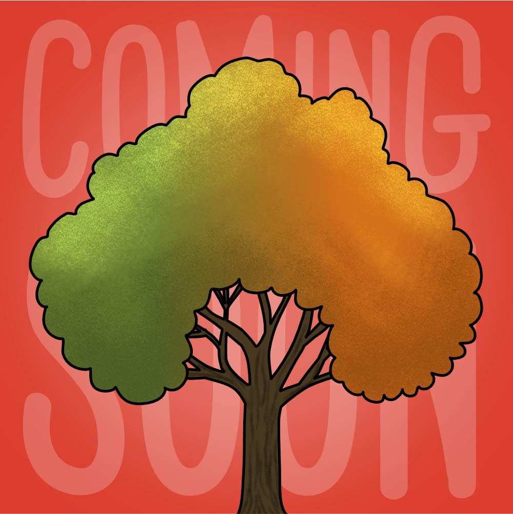 //tpet.co.uk/wp-content/uploads/2023/04/year-1-seasonal-changes.png