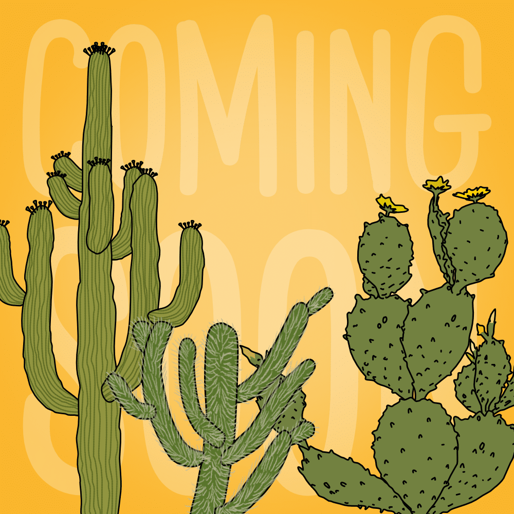 //tpet.co.uk/wp-content/uploads/2023/04/year-2-habitats.png