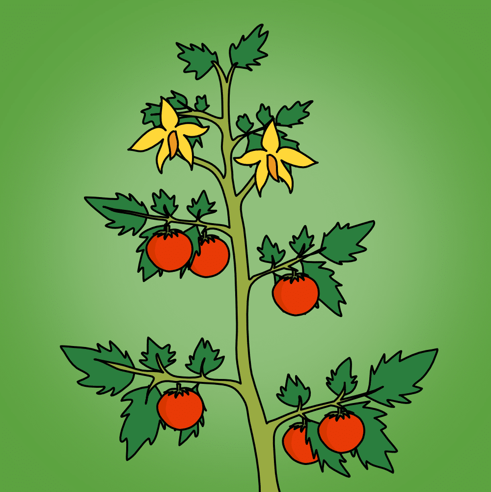 //tpet.co.uk/wp-content/uploads/2023/04/year-2-plants-1.png