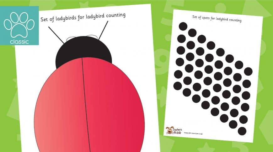 ladybird counting activity
