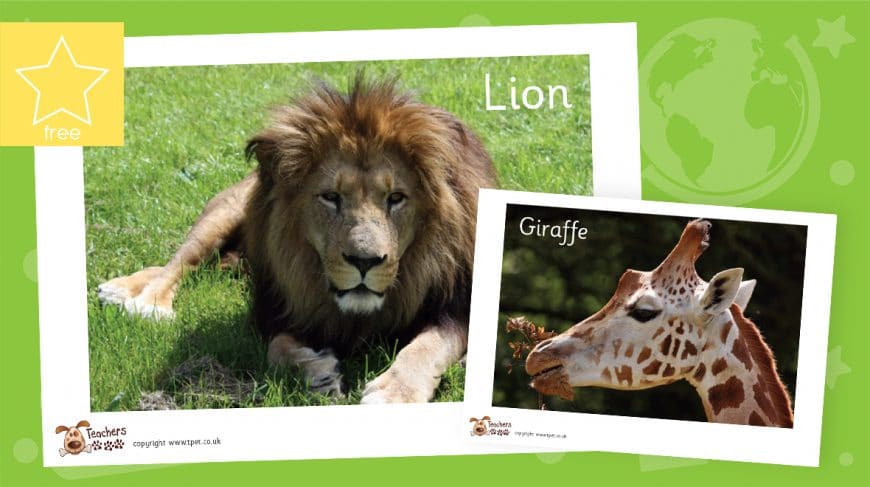Africa photo pack 1