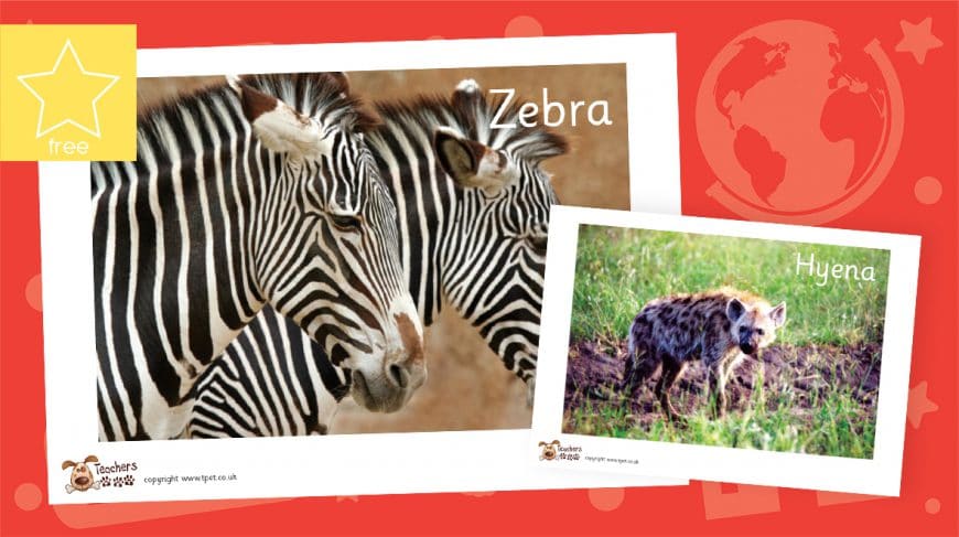 Africa photo pack 2