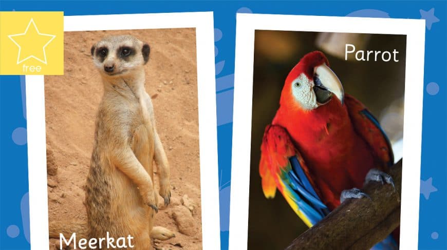 Africa poster pack 3