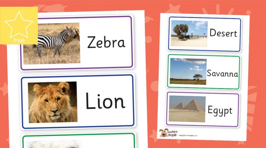 African animal labels